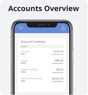 Accounts Overview image